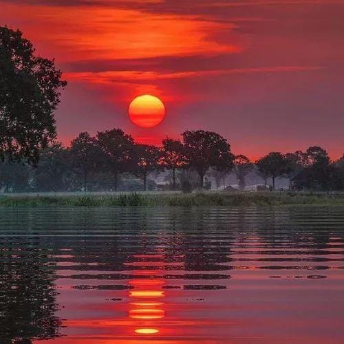 Liza Soberano avatar